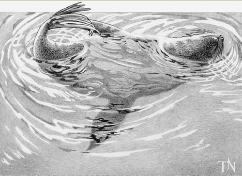 Sleeping On Water